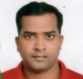 PMO Lead, PMO Consultant